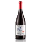 Ajan - Barbera d'Asti DOCG 2020 - VILLA GIADA