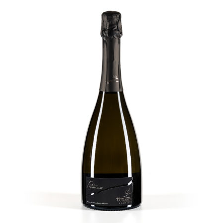 Cuvée Primus - Franciacorta Brut DOCG Non millésimé - FRANCA CONTEA