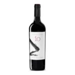 IO Selva Delle Mura - Montepulciano d'Abruzzo DOC 2016 - NIC TARTAGLIA